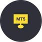 EXNESS BRASIL